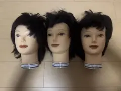 2026年最新】国家試験 カットウィッグの人気アイテム - メルカリ