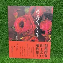 2026年最新】山上るい 枯れていく花の人気アイテム - メルカリ