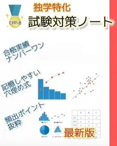 2026年最新】CPP資格の人気アイテム - メルカリ