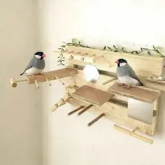 2026年最新】天然木バードジムの人気アイテム - メルカリ