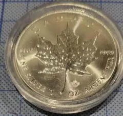 2026年最新】メイプルリーフ銀貨の人気アイテム - メルカリ