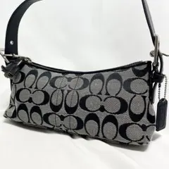 2026年最新】COACH 6371の人気アイテム - メルカリ