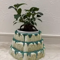 2026年最新】天空の城ラピュタ プランターの人気アイテム - メルカリ