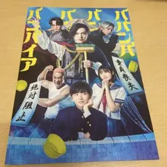 2026年最新】ババンババンバンバンパイアパンフレットの人気アイテム