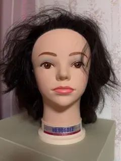 2026年最新】ワインディング ウイッグの人気アイテム - メルカリ