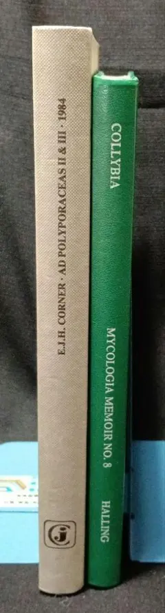 2026年最新】洋書 きのこの人気アイテム - メルカリ