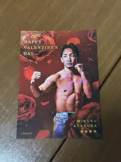 RIZIN ライコレ カード 那須川天心 武尊 - メルカリ