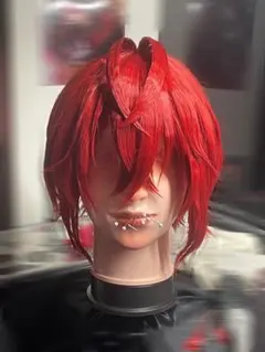 2026年最新】リドル ウィッグの人気アイテム - メルカリ