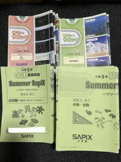 2026年最新】Sapix 5年 夏期講習の人気アイテム - メルカリ