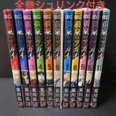 2026年最新】鋼の錬金術師 全巻 初版の人気アイテム - メルカリ