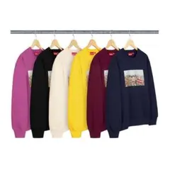 2026年最新】Supreme Aerial Crewneckの人気アイテム - メルカリ