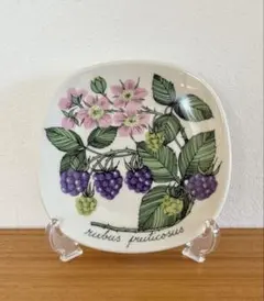 ARABIA ボタニカ エストリ トムラ プレートx2