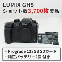2026年最新】gh5 v-logの人気アイテム - メルカリ