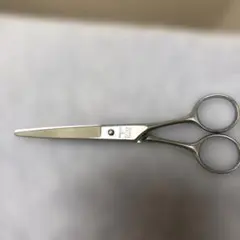 2026年最新】マツザキシザーの人気アイテム - メルカリ