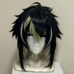 2026年最新】伊波ライ ウィッグの人気アイテム - メルカリ