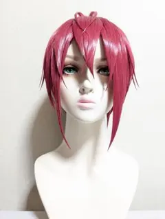 2026年最新】ツイステ リドル ウィッグの人気アイテム - メルカリ