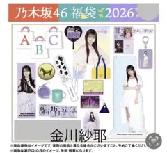 2026年最新】乃木坂 福袋 個別クッションの人気アイテム - メルカリ