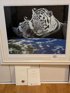 2026年最新】シムシメールの人気アイテム - メルカリ