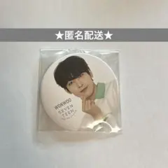 2026年最新】セブチ ウォヌ 缶バッジの人気アイテム - メルカリ