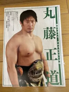 2026年最新】丸藤正道の人気アイテム - メルカリ