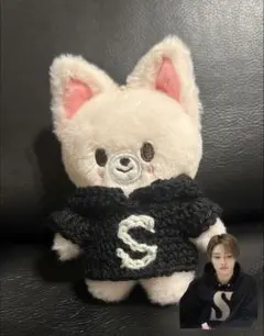 2026年最新】SKZOO 10cm アイエンの人気アイテム - メルカリ