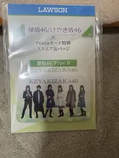 2026年最新】ポンタカード 欅坂46の人気アイテム - メルカリ