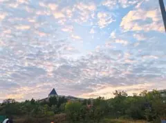 2026年最新】SOYOの人気アイテム - メルカリ