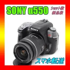 2026年最新】α65 レンズの人気アイテム - メルカリ