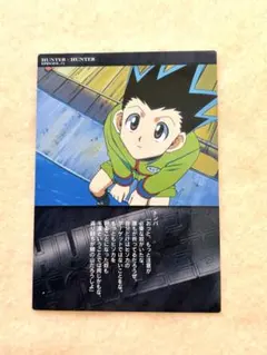 2026年最新】HUNTER×HUNTERカードダスマスターズ初版ゴンカードの人気