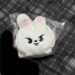 2026年最新】skzoo ミニチャームの人気アイテム - メルカリ