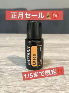 2026年最新】サンダルウッド ドテラの人気アイテム - メルカリ