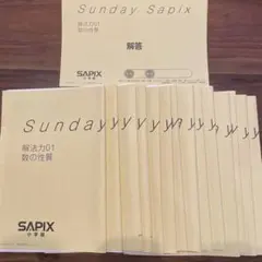 2026年最新】解法力 サピックスの人気アイテム - メルカリ