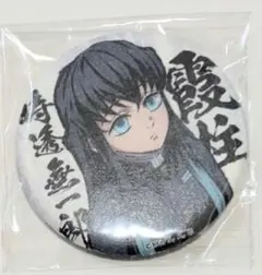 2026年最新】柱合会議蝶屋敷編和紙缶バッジの人気アイテム - メルカリ