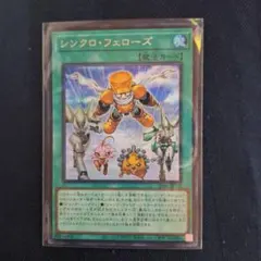 2026年最新】シンクロ・フェローズの人気アイテム - メルカリ