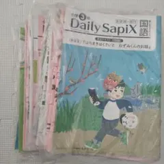 2026年最新】デイリーサピックス 3年の人気アイテム - メルカリ