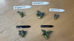 2026年最新】悪魔BB アガベの人気アイテム - メルカリ