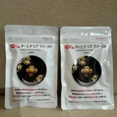 2026年最新】ターミナリアファースト120粒の人気アイテム - メルカリ