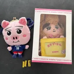 2026年最新】ほくぷーどるの人気アイテム - メルカリ