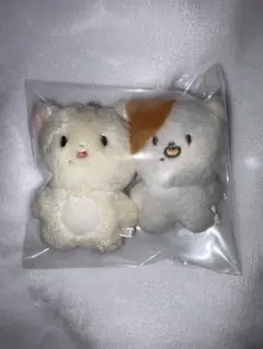 2026年最新】チソンの人気アイテム - メルカリ