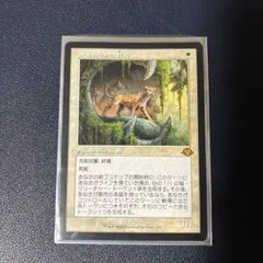 2026年最新】オセロットの群れの人気アイテム - メルカリ