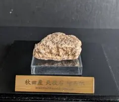 2026年最新】北投石本物の人気アイテム - メルカリ