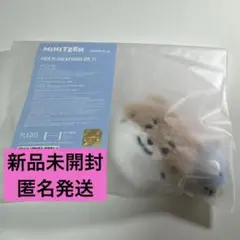 2026年最新】チャンダ ディノの人気アイテム - メルカリ