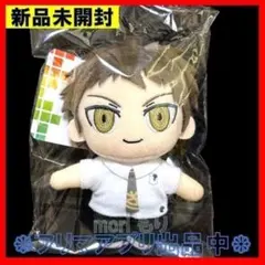 2026年最新】日向創 ぬいぐるみの人気アイテム - メルカリ