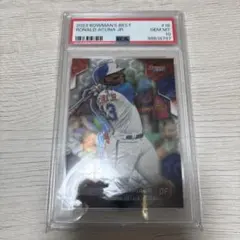 2026年最新】アクーニャJR toppsの人気アイテム - メルカリ