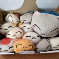 2026年最新】ねむネコ ぬいぐるみの人気アイテム - メルカリ