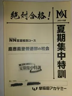 2026年最新】NN桜蔭の人気アイテム - メルカリ