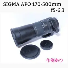 2026年最新】sigma apo 170-500mmの人気アイテム - メルカリ
