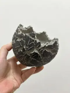 2026年最新】fang konectの人気アイテム - メルカリ