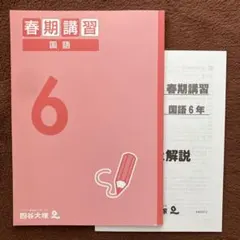 2026年最新】四谷大塚春期講習6年の人気アイテム - メルカリ