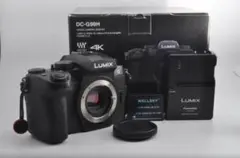 2026年最新】lumix g99の人気アイテム - メルカリ